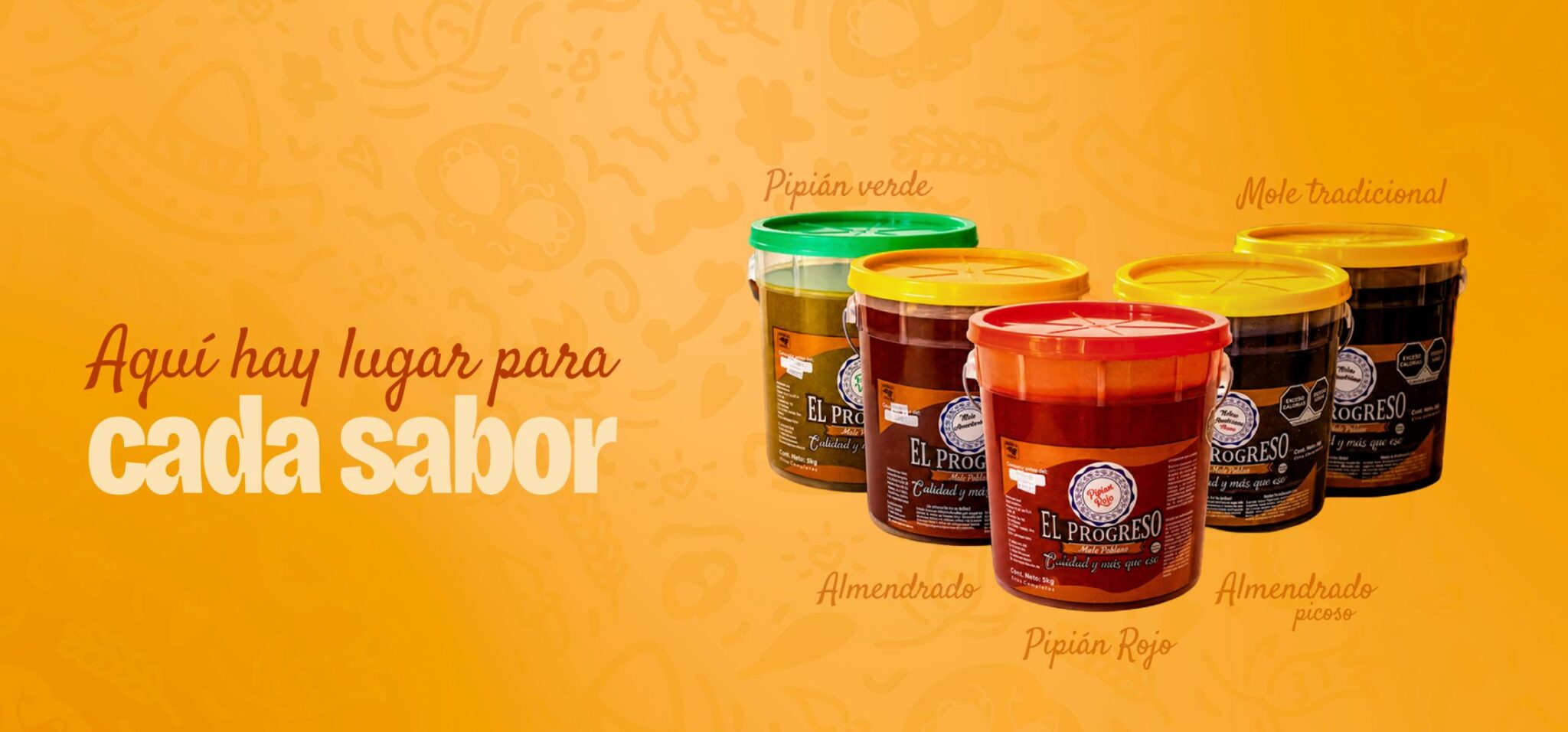 banner-principal-02